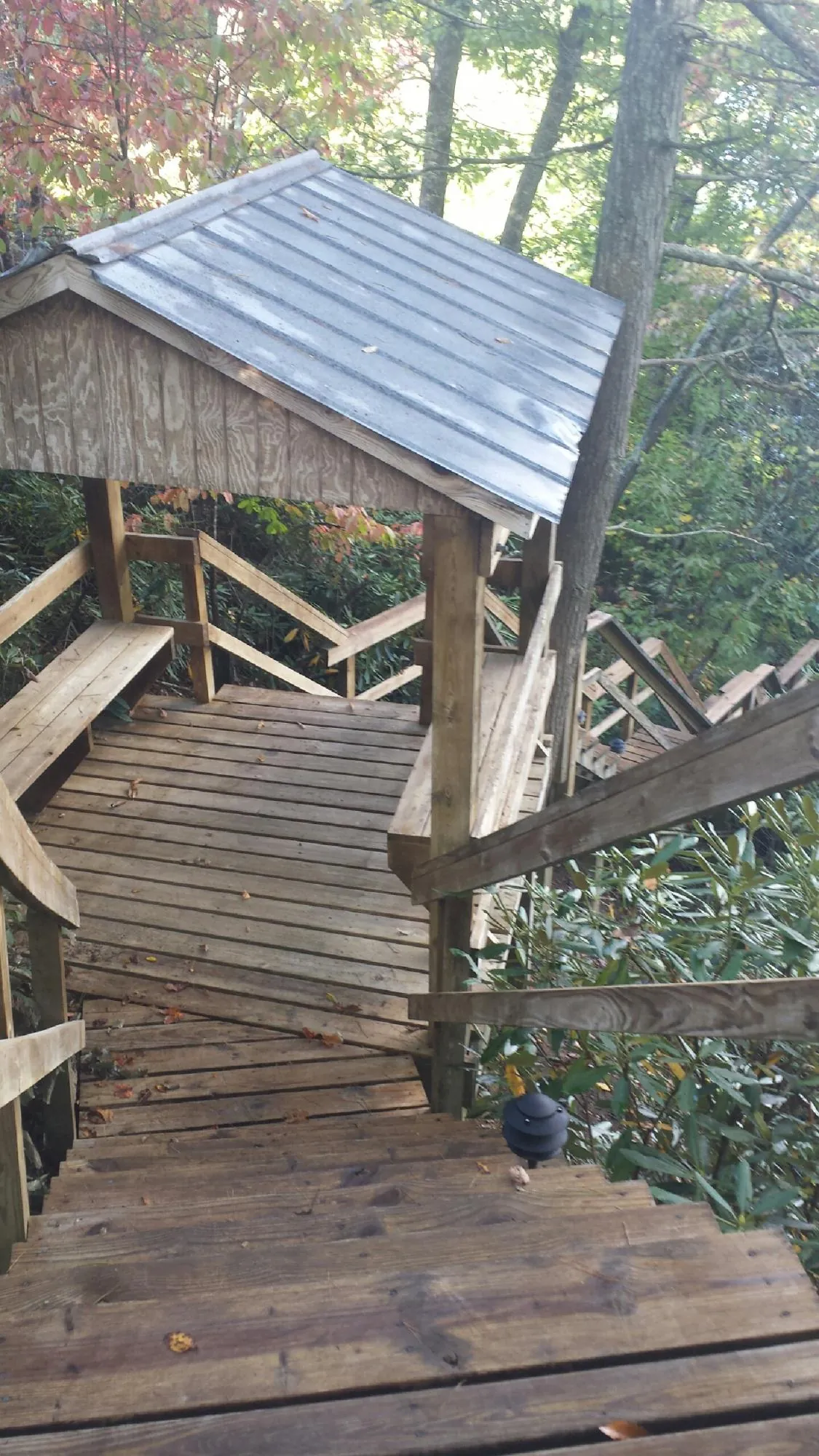 Metal roofed shelter over wooden steps on a wooded walkway — Skylight Repair & Installation work by our crew in Blakely